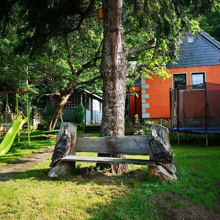 Вилла Ferienhaus Franz - An Der Elbe, Mit Grossem Garten Пирна Экстерьер фото